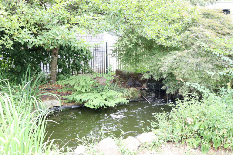 Others 5, VAAST Bed & Breakfast, Lancaster