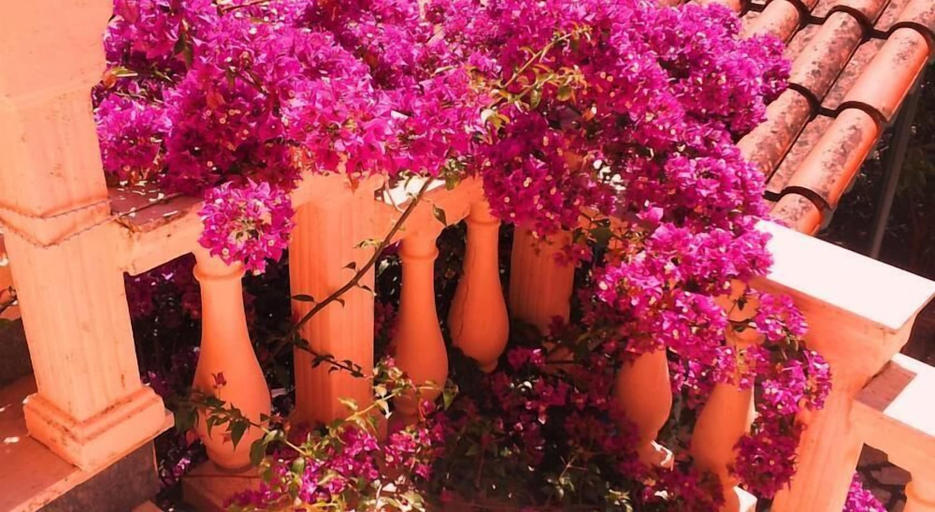 Others 5, Makris Apartments, Ionian Islands