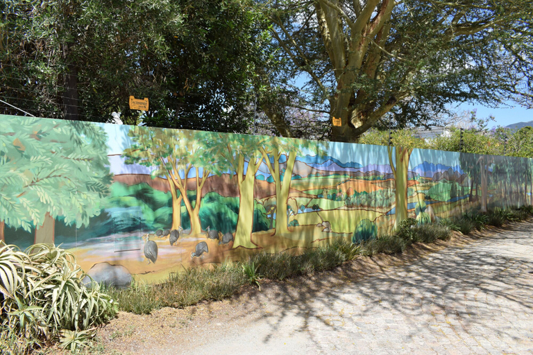 Others 5, Paul Kruger 63, Cape Winelands