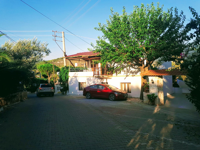Primary image