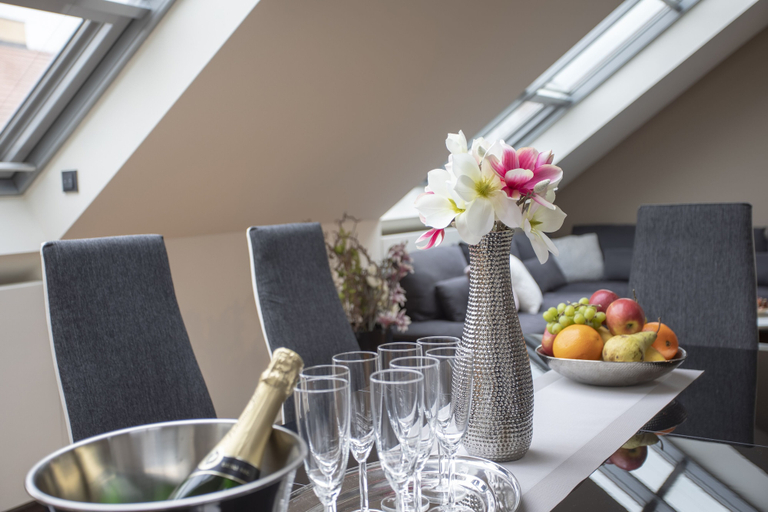 Others 5, Luxury Central Duplex with terrace, Praha 1