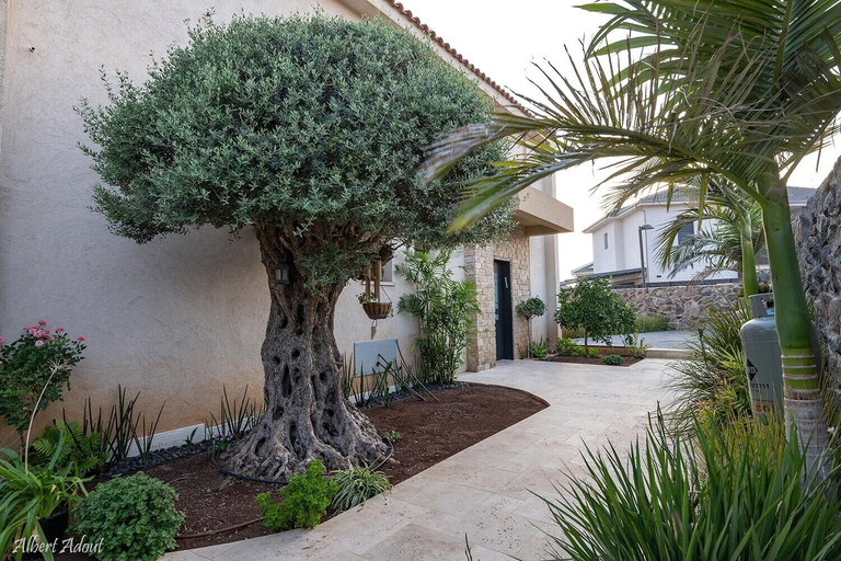 Exterior & Views, Tavor View Suites
