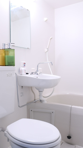Bathroom, Shirakabanoyado-sakuragawa, Osaka