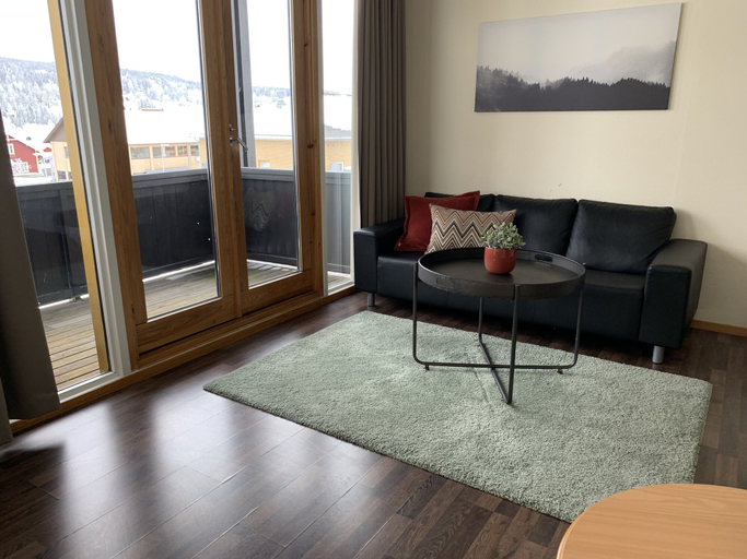Others 5, Trudvang Apartment Hotel, Åmot