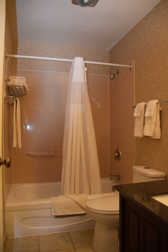 Bathroom 4, Rodeway Inn Festival, Perth
