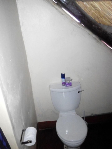 Bathroom, Liya Lodge and Campsite, Chobe