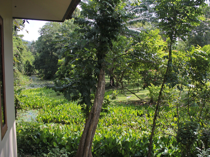 Others 4, Baan Maka Nature Lodge, Kaeng Krachan