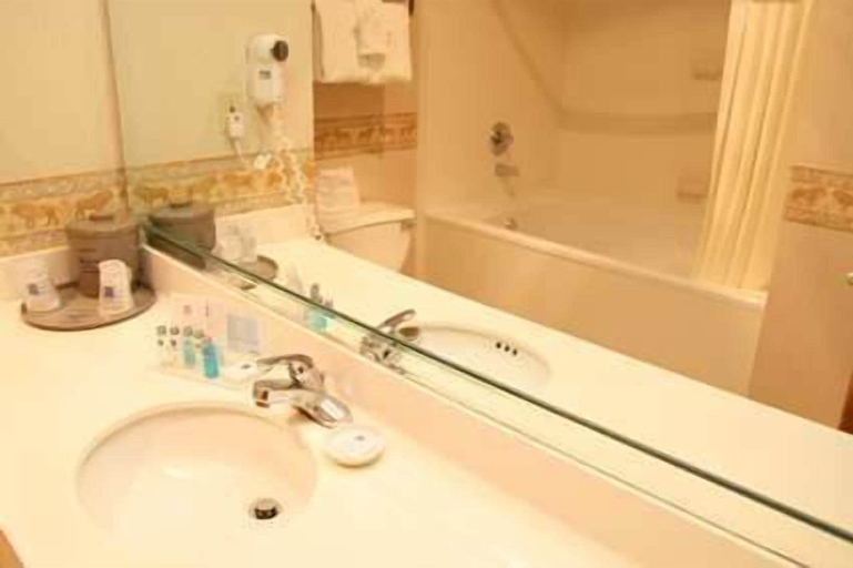 Bathroom 3, Hampton Inn Columbus/Taylorsville/Edinburgh, Bartholomew
