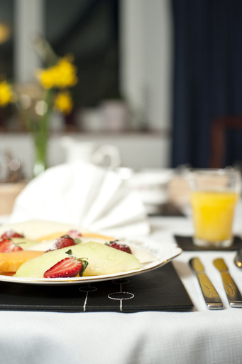 Food & Drinks 4, Cadleigh Manor B&B, Devon