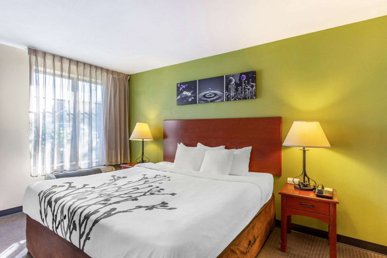 Bedroom 3, Sleep Inn & Suites Jacksonville West, Duval