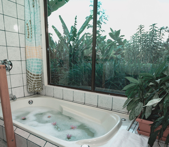 Bathroom 4, Toucanet Lodge, Dota