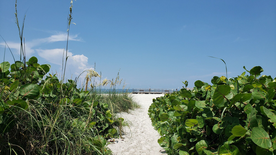 Others 5, Hotel Del-Fino, Pinellas