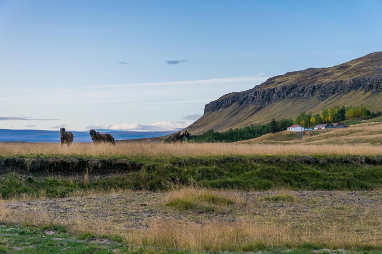 Others 5, Ravencliff Lodge, Dalabyggð