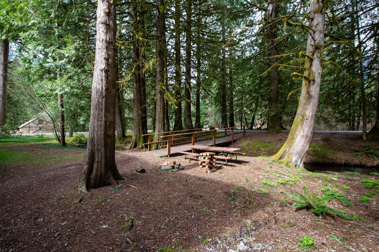 Others 5, 18SLL - Newly Remodeled - Sleeps 4, Whatcom