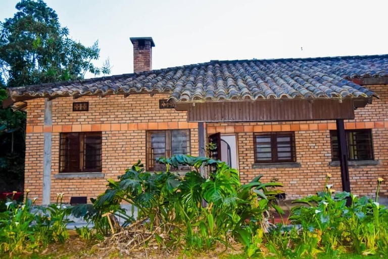 Exterior & Views 2, Gisakura Guest House, Nyamasheke