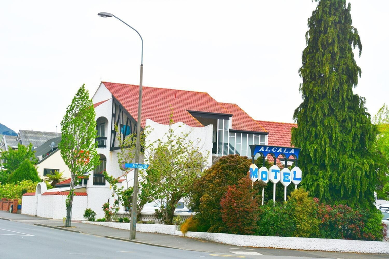 Others 5, Alcala Motel, Dunedin