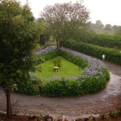Garden 2, Amboni Lodge, Kieni