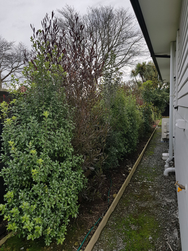Others 5, Micro villa, Christchurch