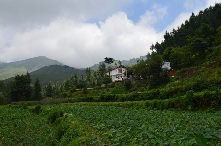 Others 5, Hotel Burans And Restaurant, Dehradun