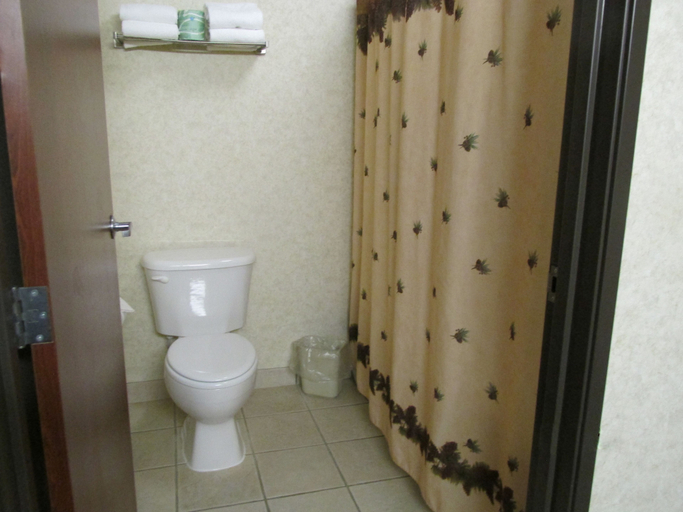Bathroom 5, Kelly Inn & Suites Mitchell South Dakota, Davison
