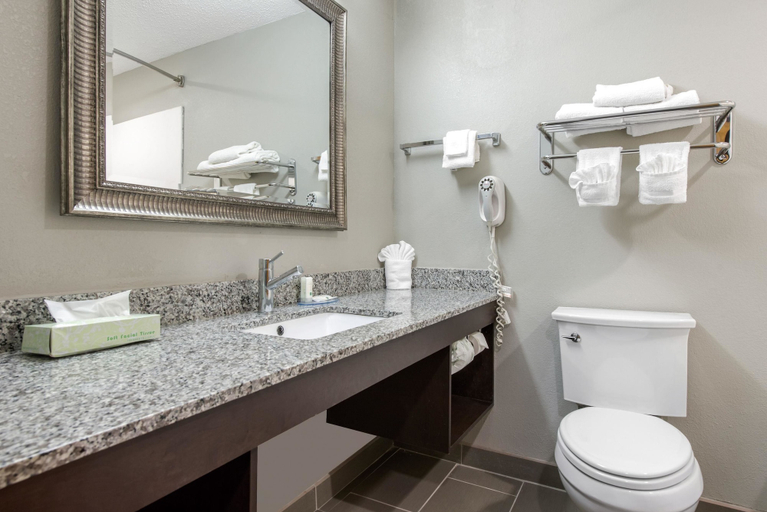 Bathroom 4, Quality Inn & Suites Brownsburg - Indianapolis West, Hendricks