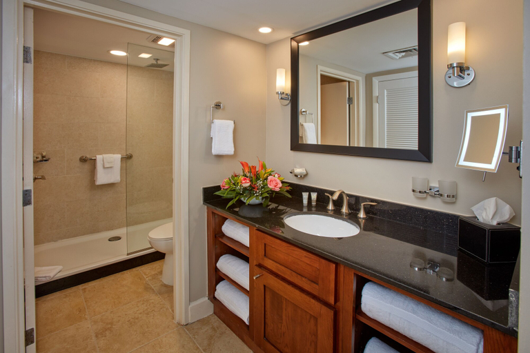 Bathroom 4, Divi Village All Inclusive Villas