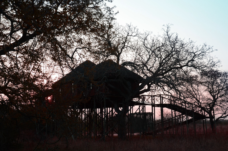 Exterior & Views 2, Pezulu Tree House Lodge, Mopani