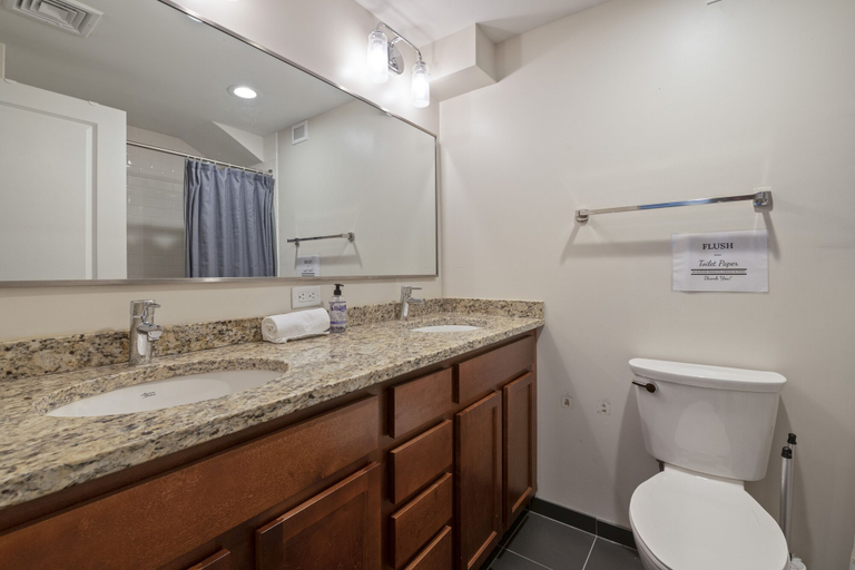 Bathroom 4, Divine Lorraine Apartment Hotel, Philadelphia