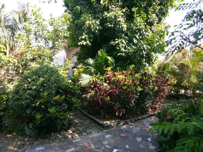 Others 5, Baan Mek Lom, Thai Mueang