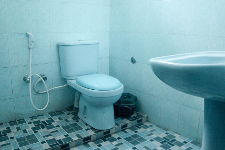 Bathroom 3, Hotel Mahawasala, Dambulla