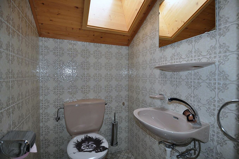 Bathroom 4, Alpenglück 51, Raron