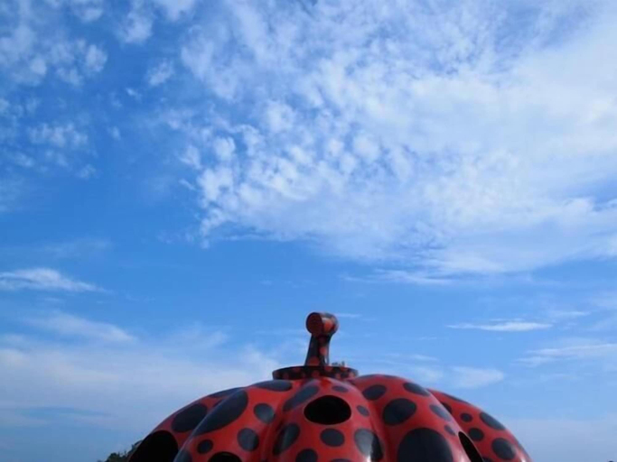 Others 5, Next International Homestay, Takamatsu