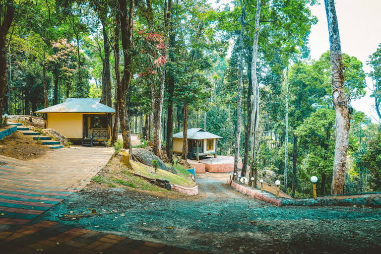 Others 5, Vythiri Wild Forest Resort, Wayanad