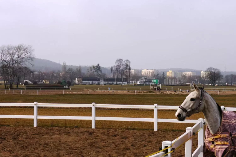 Others 3, Victus Apartamenty - Cadena 3, Sopot