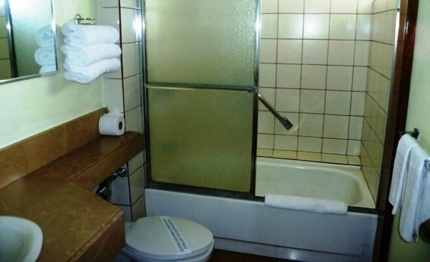 Bathroom 4, Hotel Villa Tournon, San José