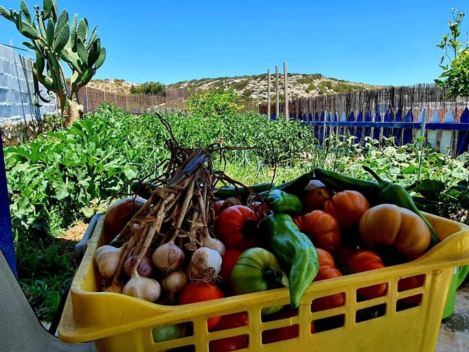 Food & Drinks, Kalliope Studios, South Aegean