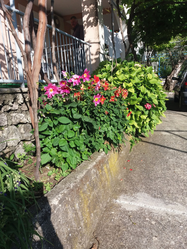 Others 5, Apartmani Mitrovic Podlicak