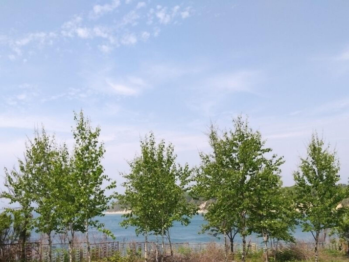 Others 5, Raduga, Nakhodka gorsovet