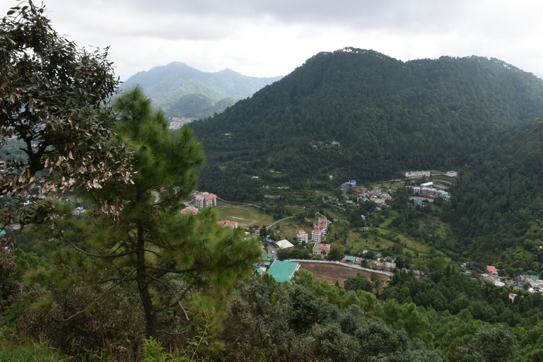Others 4, The Moksha Heights, Nainital