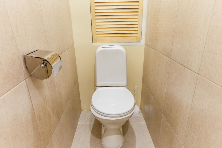 Bathroom 3, Inndays Nagornaya 38k1, South-Western