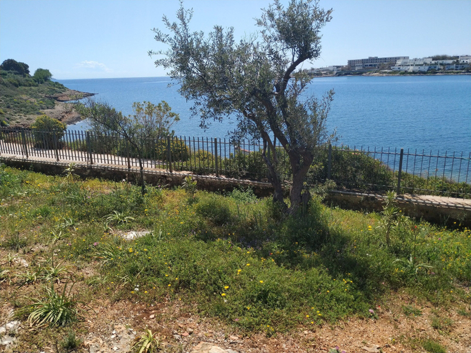 Others 5, Beautiful Beach House At Sounio, Attica