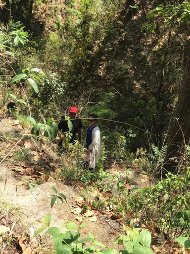 Others 5, Rio Resort, Garhwal