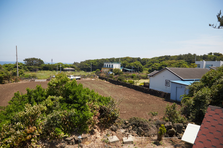 Others 5, Fragrant Tree Pension, Seogwipo
