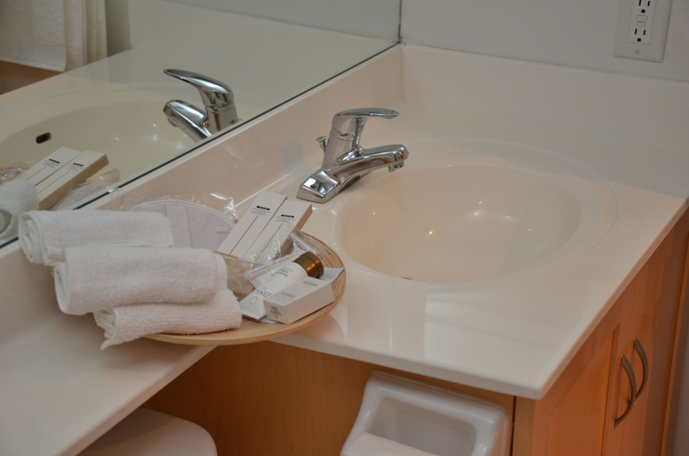 Bathroom 3, Living Suites Toronto Convention Centre, Toronto