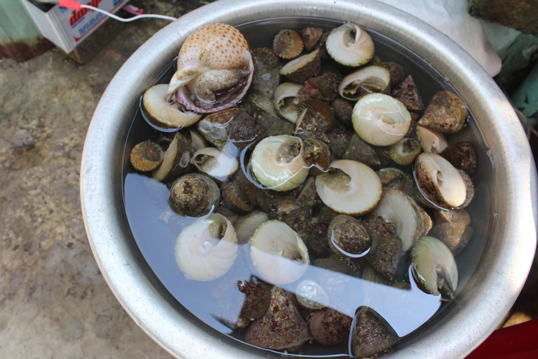 Food & Drinks 4, Homestay Bai Huong, Da Nang