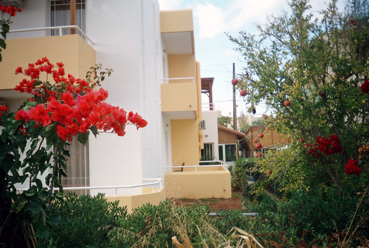 Exterior & Views 2, Dimitra Apartments, Crete