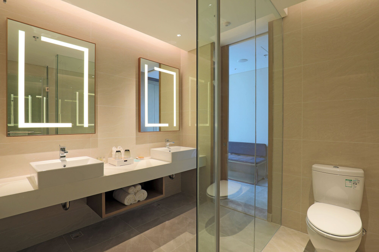 Bathroom 4, Hilton Garden Inn Changzhou Jintan, Changzhou