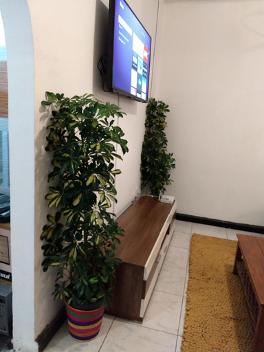 Others 5, Suite Regina 94, Mexico City