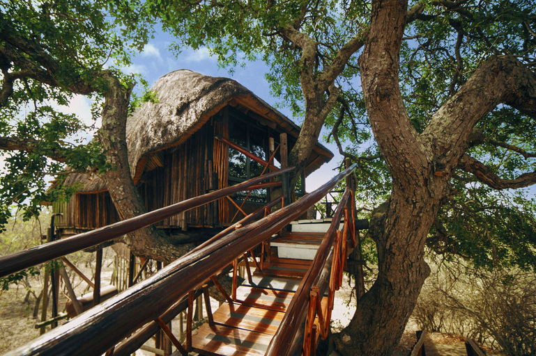 Exterior & Views 2, Pezulu Tree House Lodge, Mopani