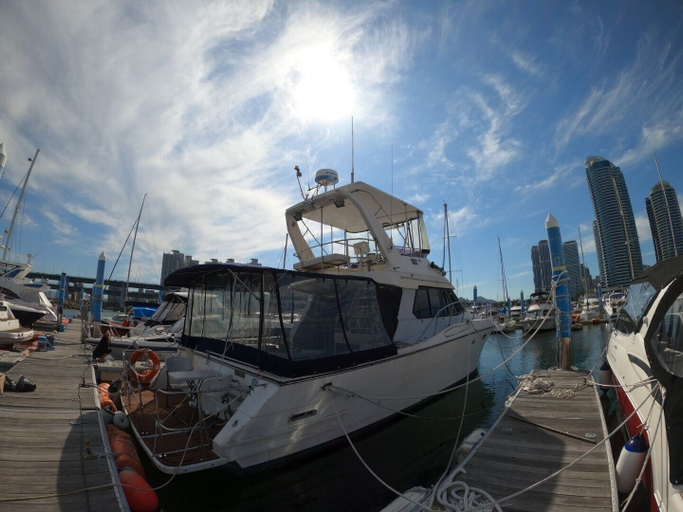 Others 2, Yacht King, Haeundae